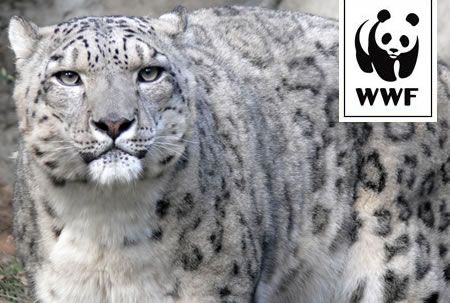  WWF calendar animal extinction 