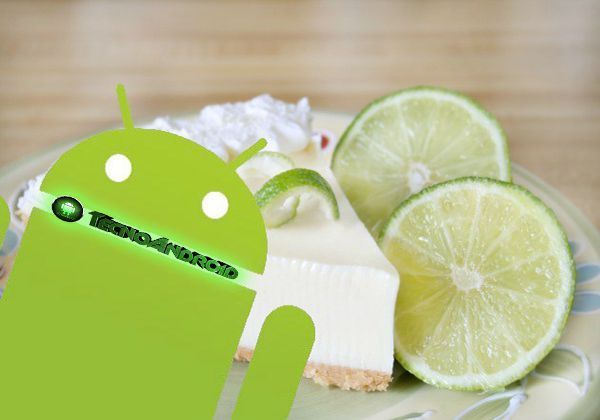 Android 4.3 &#8211; 5.0 Key Lime Pie: nuovi rumors su data di lancio e funzioni