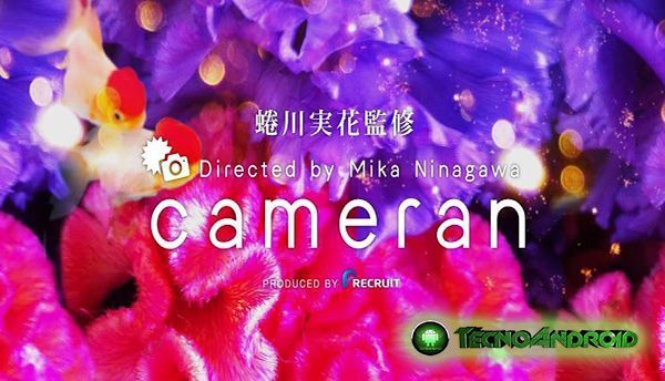 Cameran