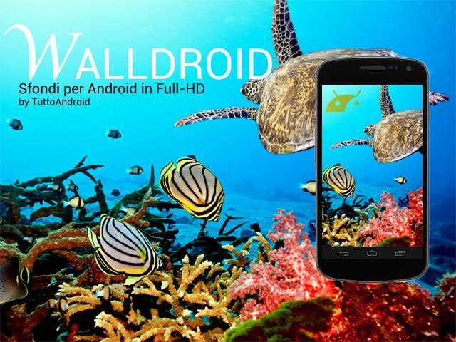 walldroid-evidenza1