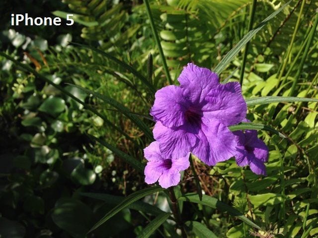 iphonemacro