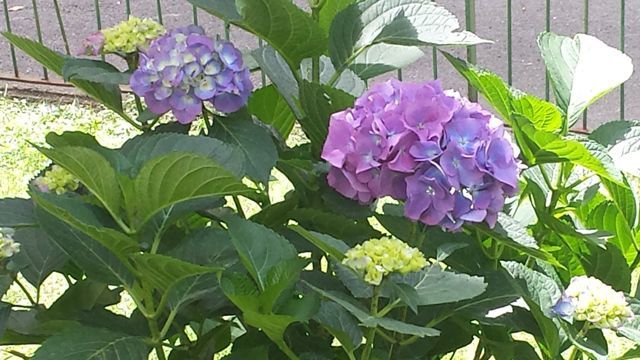 2013-05-25 13.54.21