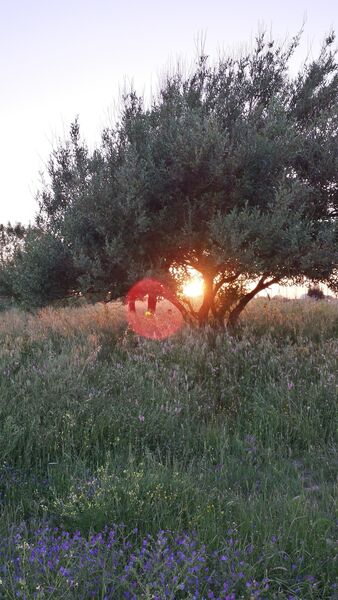 20130512_200452_Richtone(HDR)