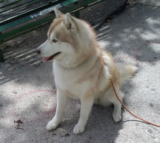 Foto1