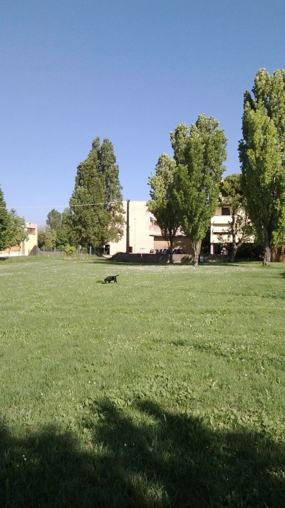 WP_20130509_004