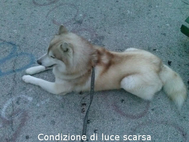 luce scarsa
