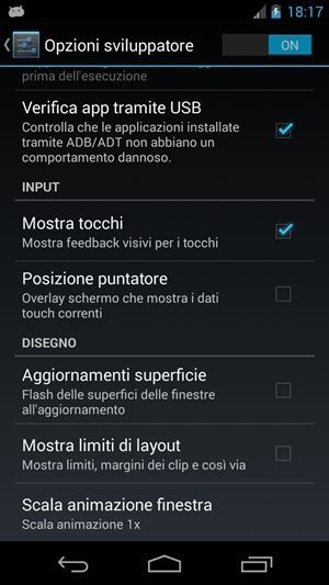 OpzioniSviluppatore2