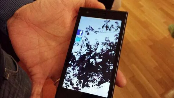 jolla7