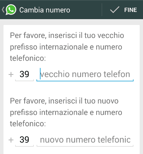 whatsapptrasfnum (2)
