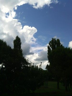 IMG_20140617_160048