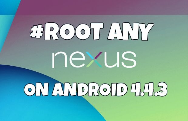 root nexus