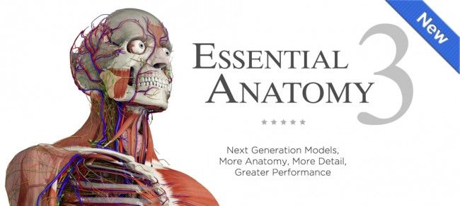 essential-anatomy-3