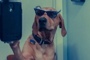 selfie