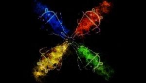 Nexus