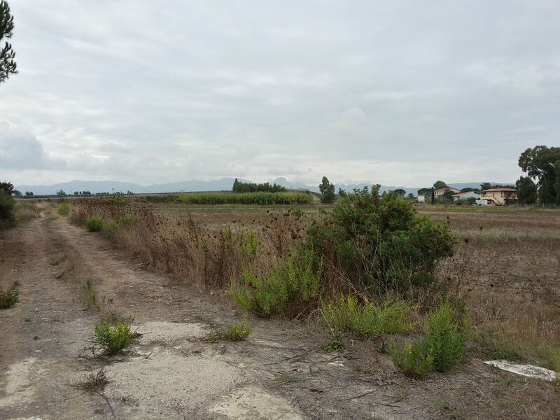 20140101_010217_Richtone(HDR)