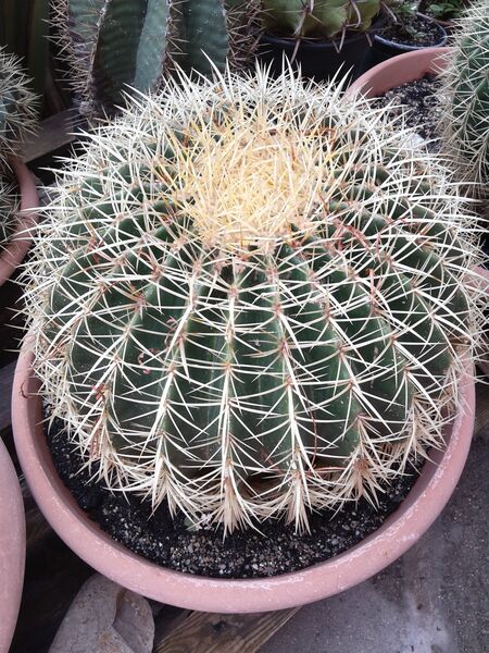 20140101_010612_Richtone(HDR)