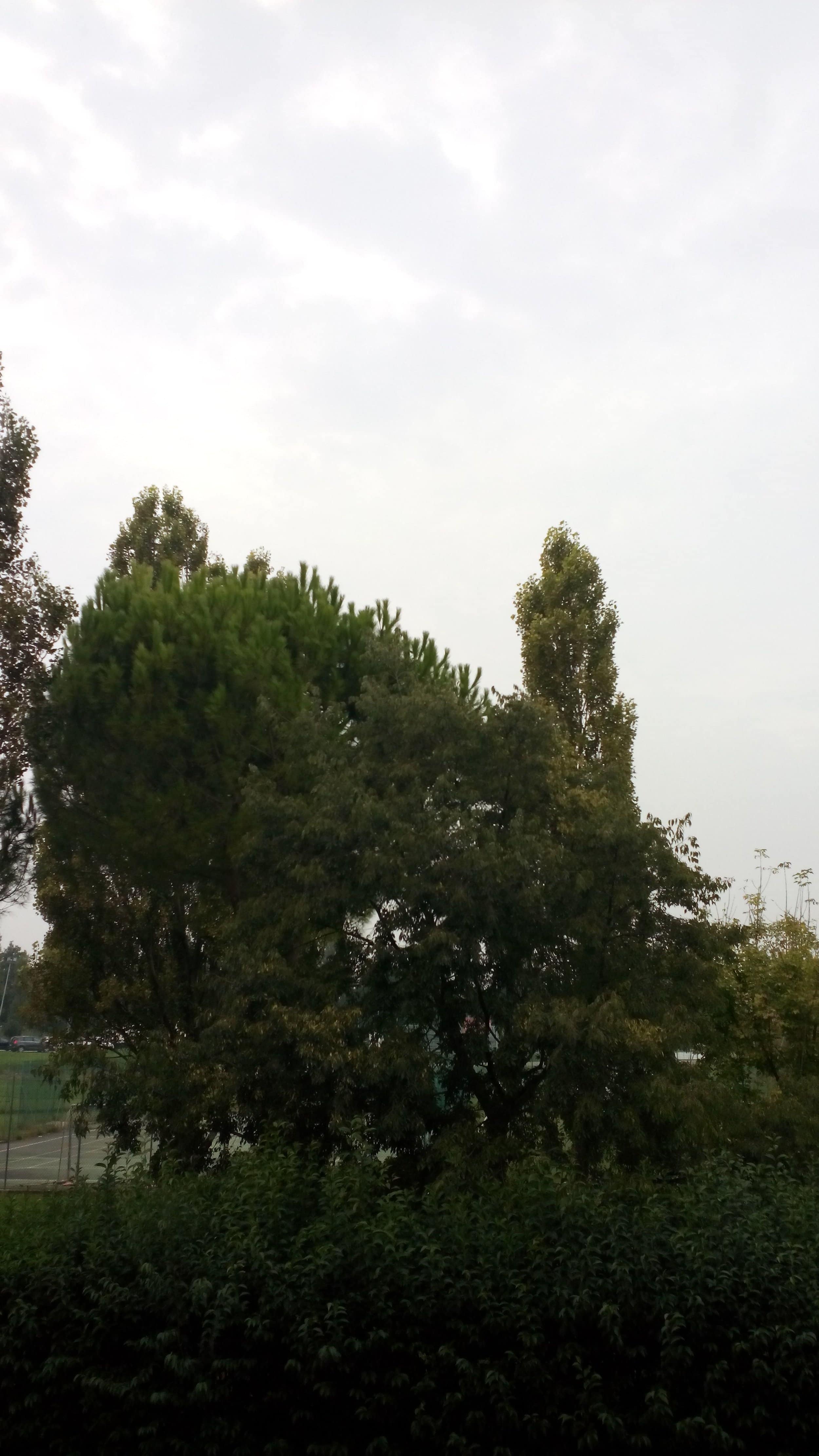IMG_20141001_171607