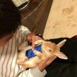smartphone