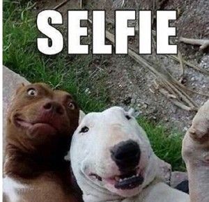 Selfie