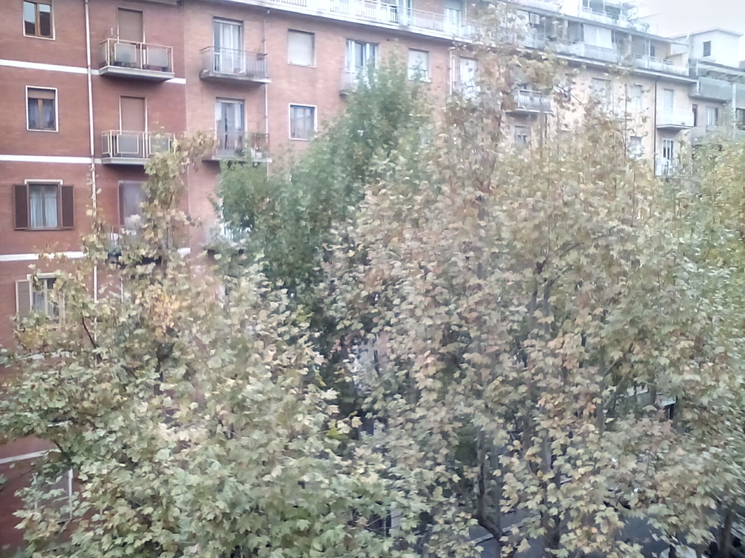 IMG_20141112_122816_1