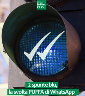 doppia spunta blu whatsapp6