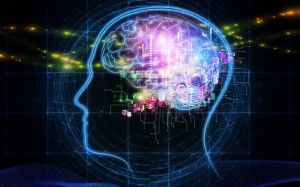 Web IQ