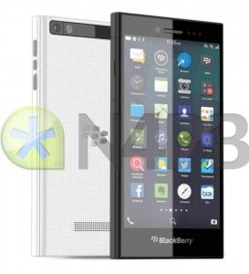 blackberry rio