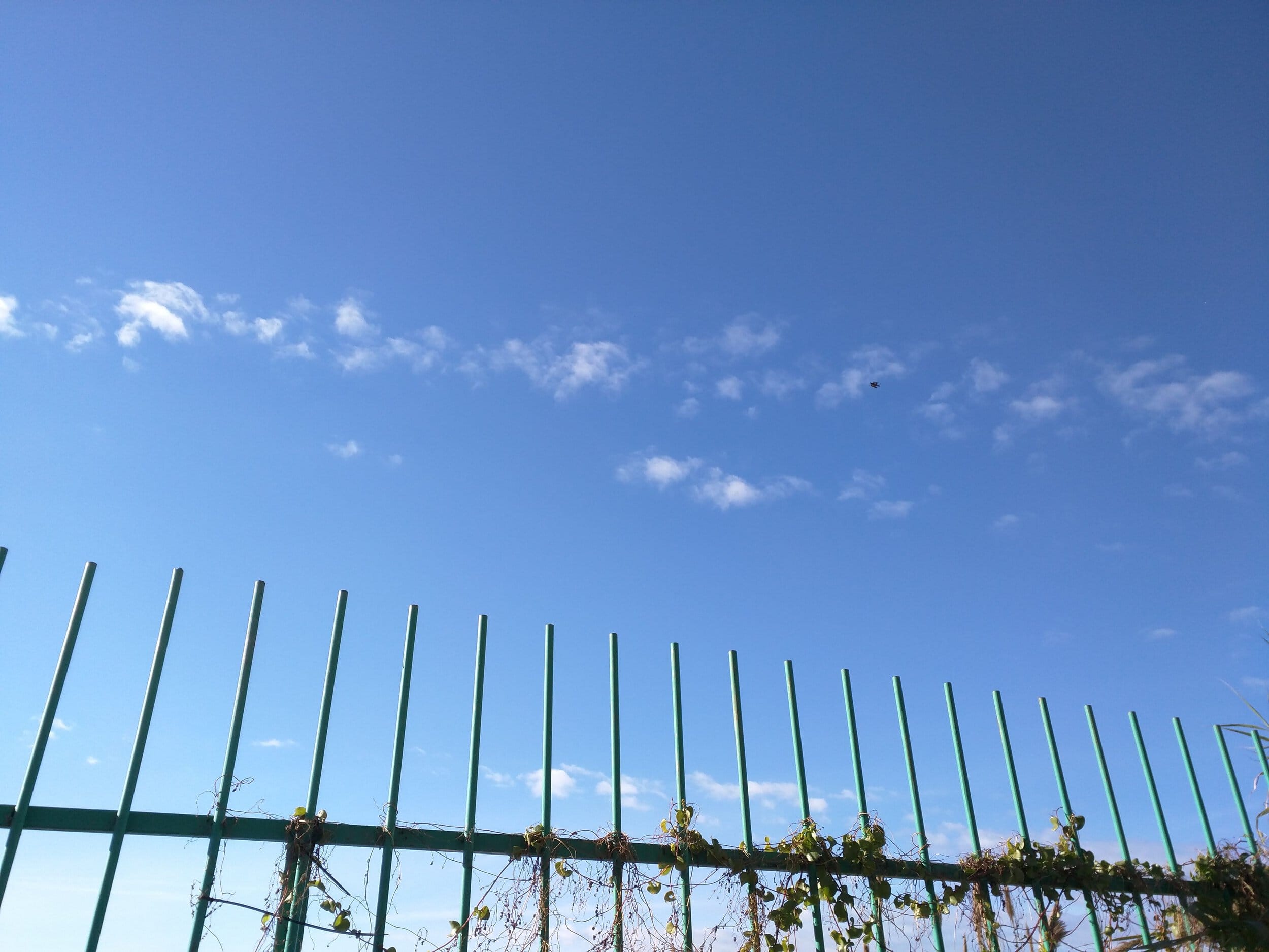 Nexus 6 (10)
