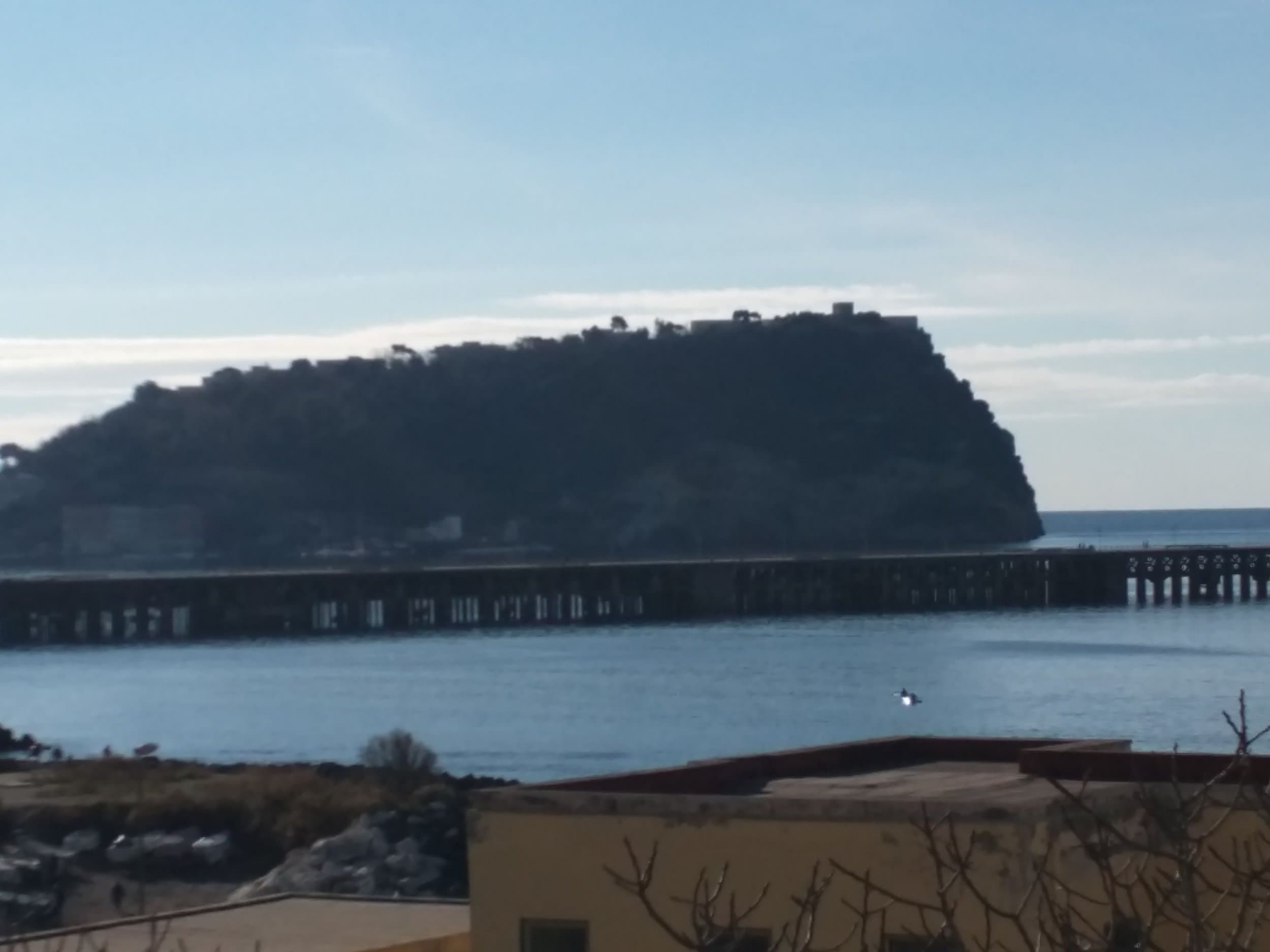 Nexus 6 (14)