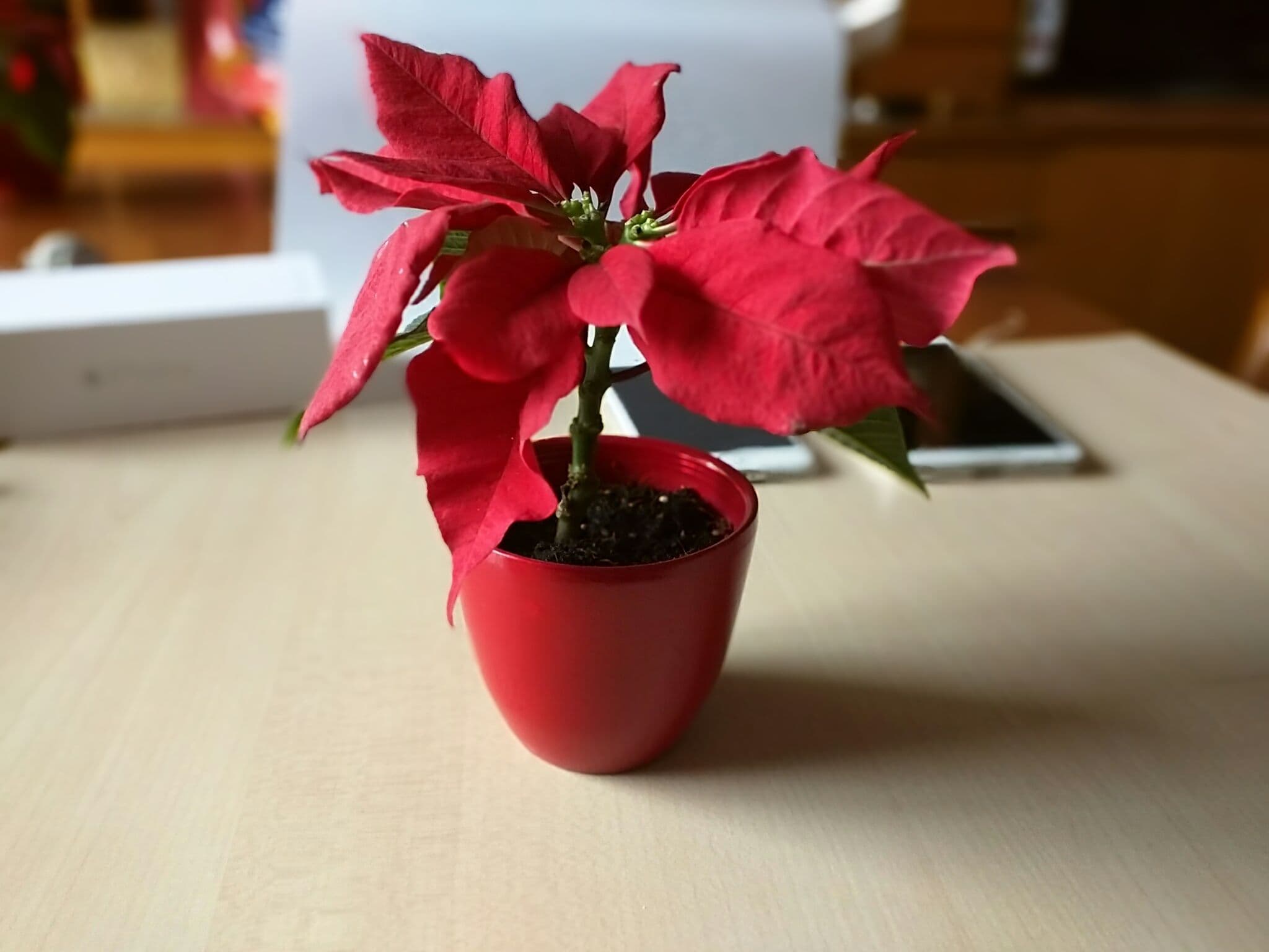 Nexus 6 (20)