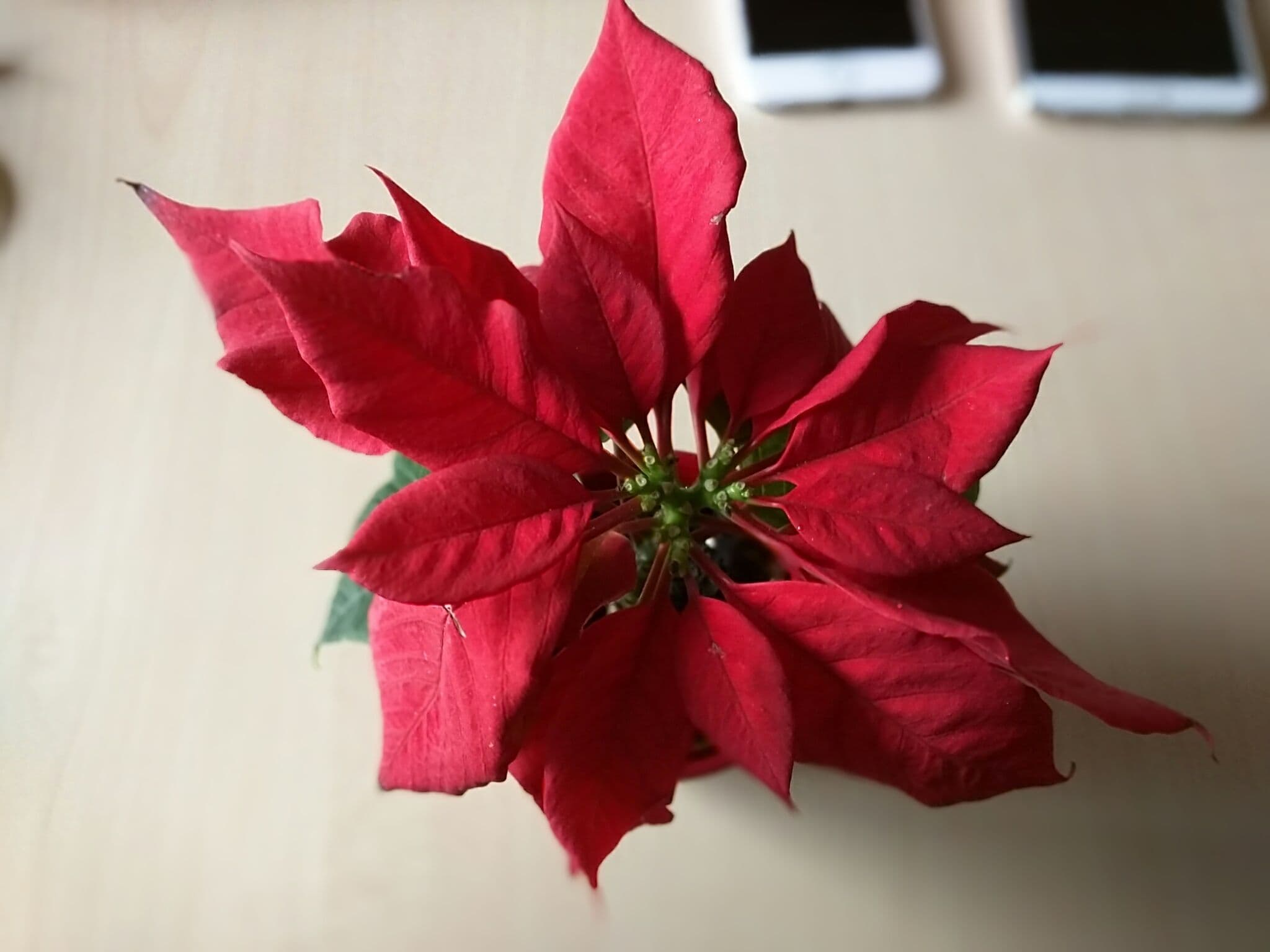 Nexus 6 (22)