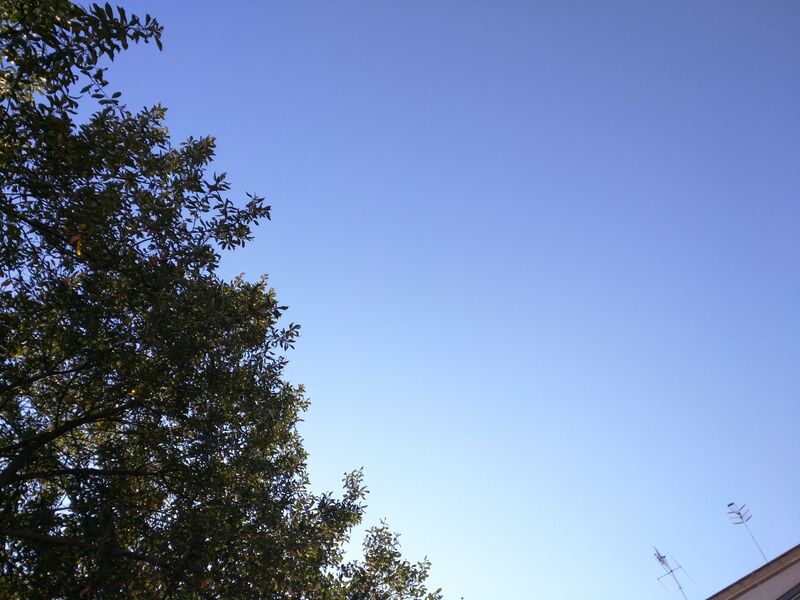 Nexus 6 (9)