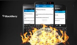 blackberry