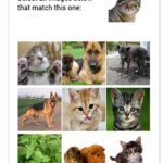 NoCAPTCHA