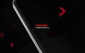 toshiba shared board