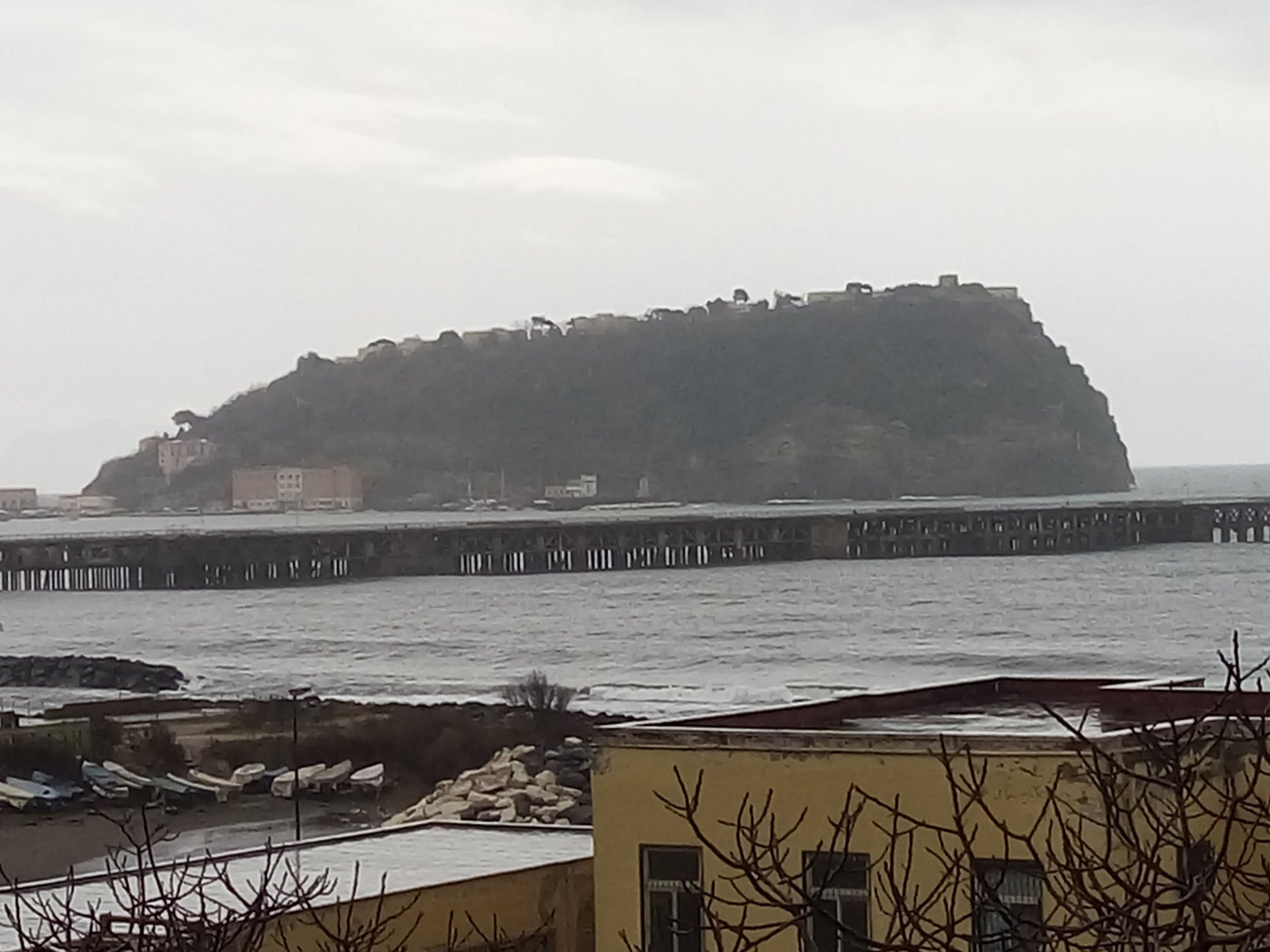 zp920 (2)