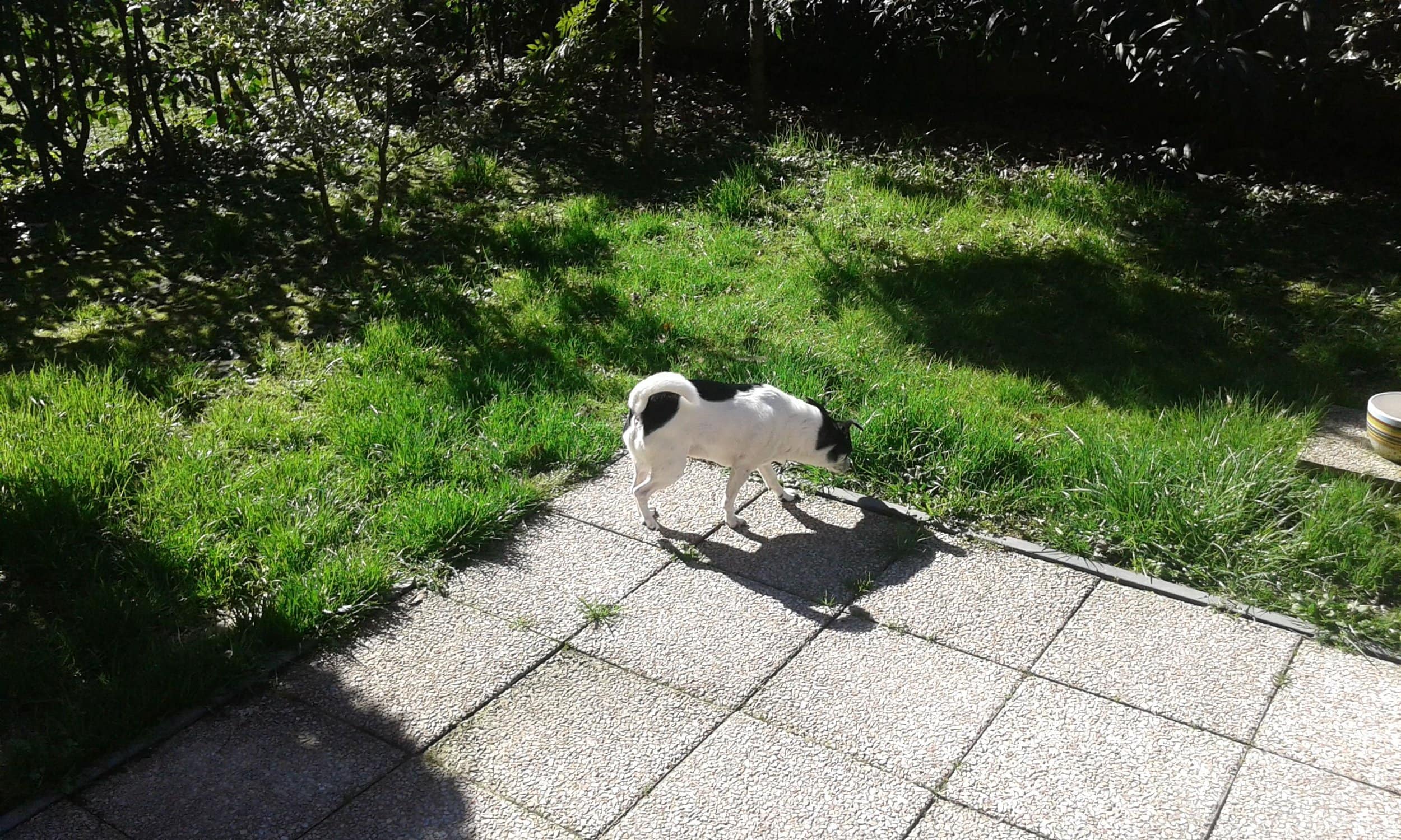 20150306_135455