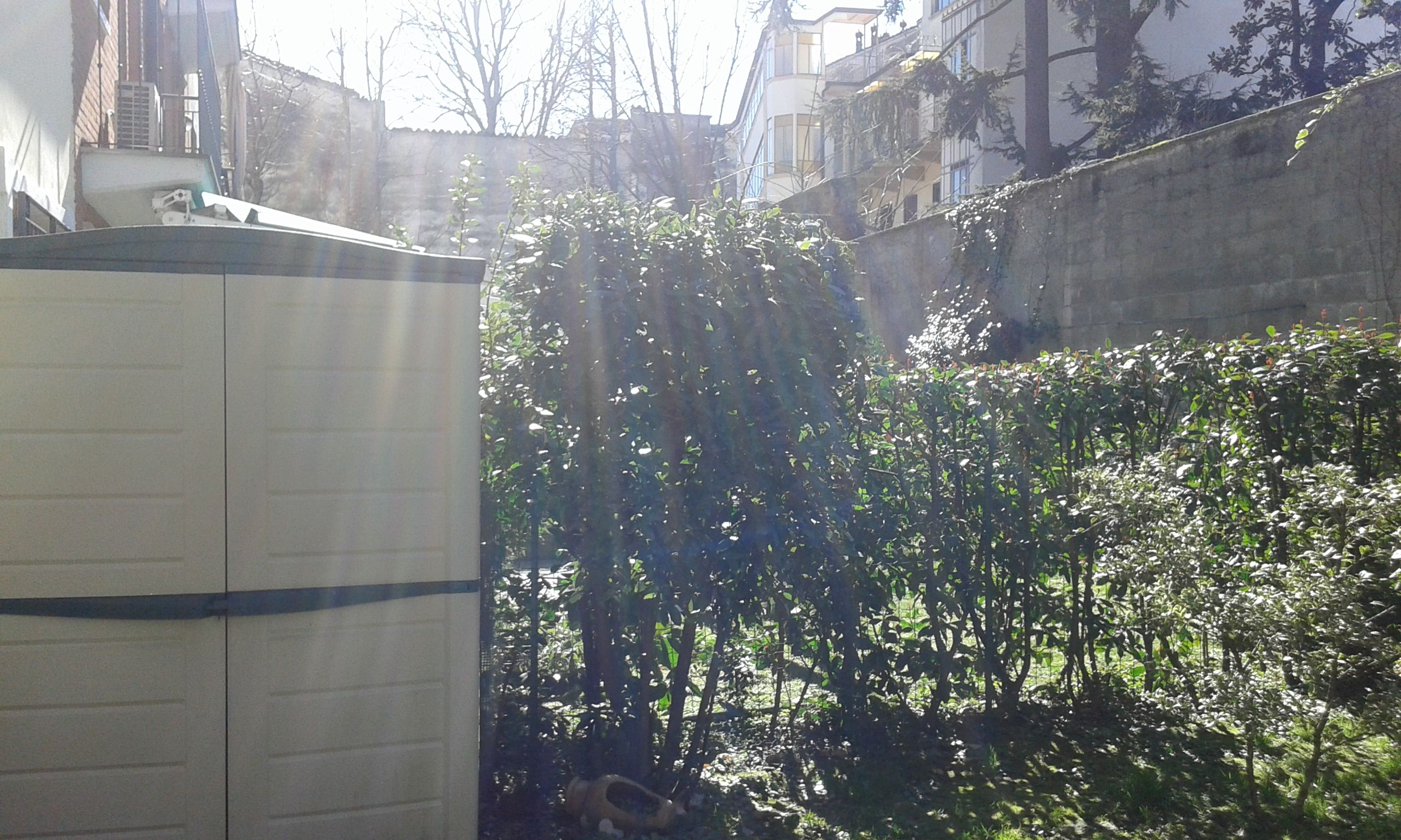 20150306_135458