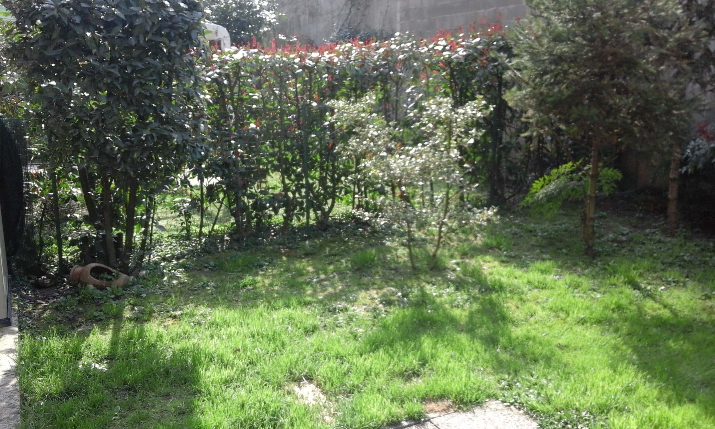 20150320_141140