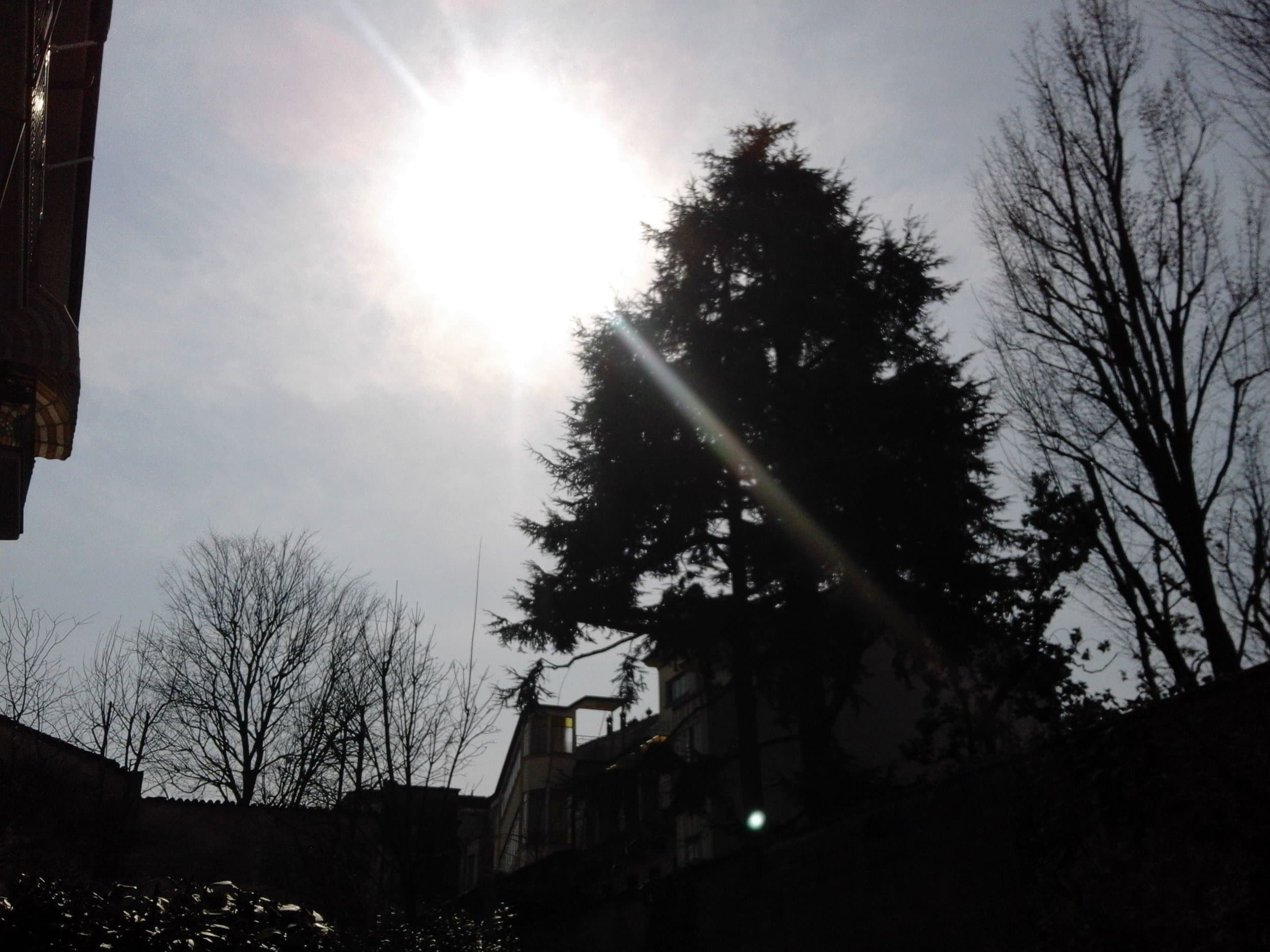 20150320_141209