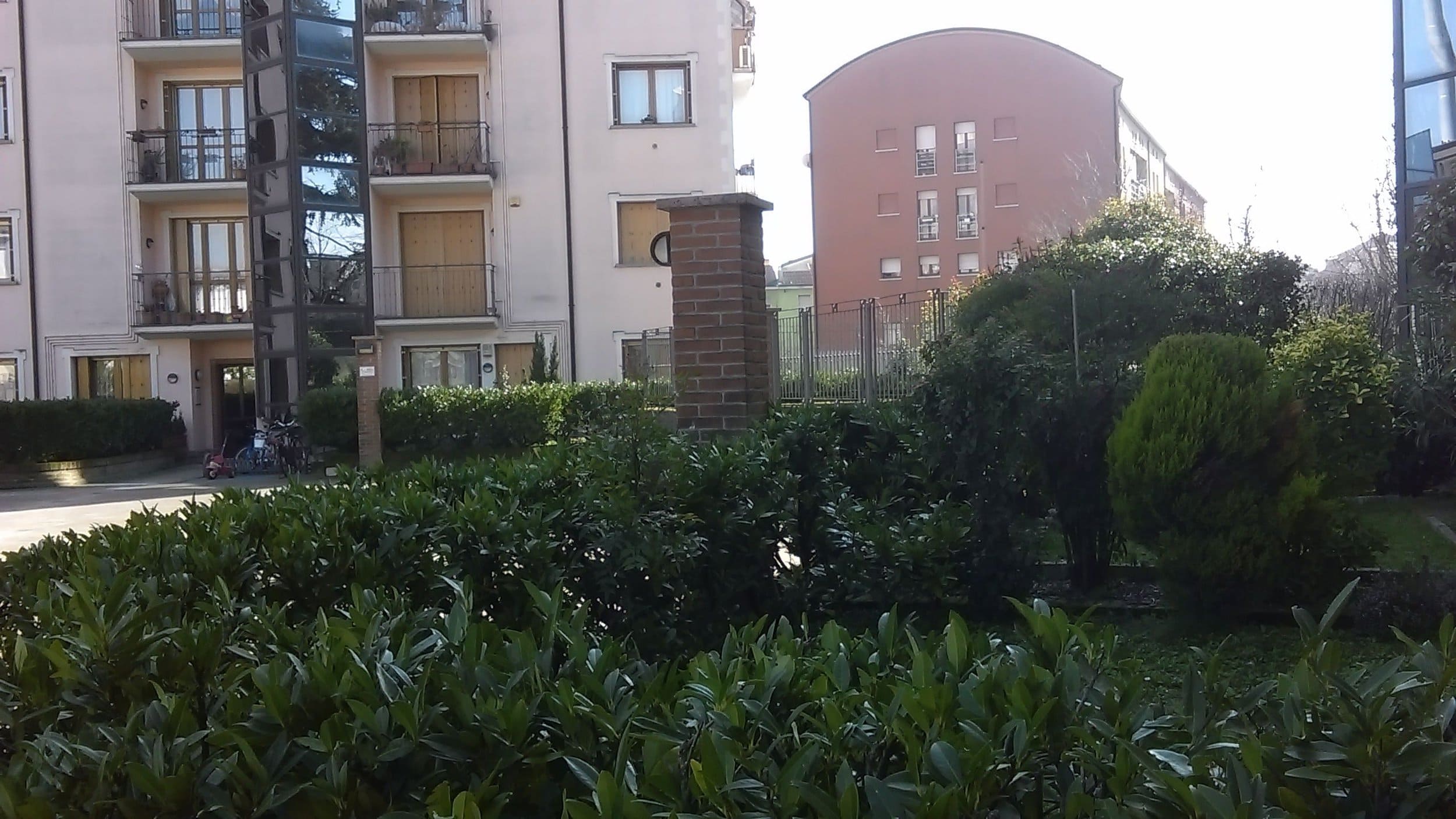 IMAG0009