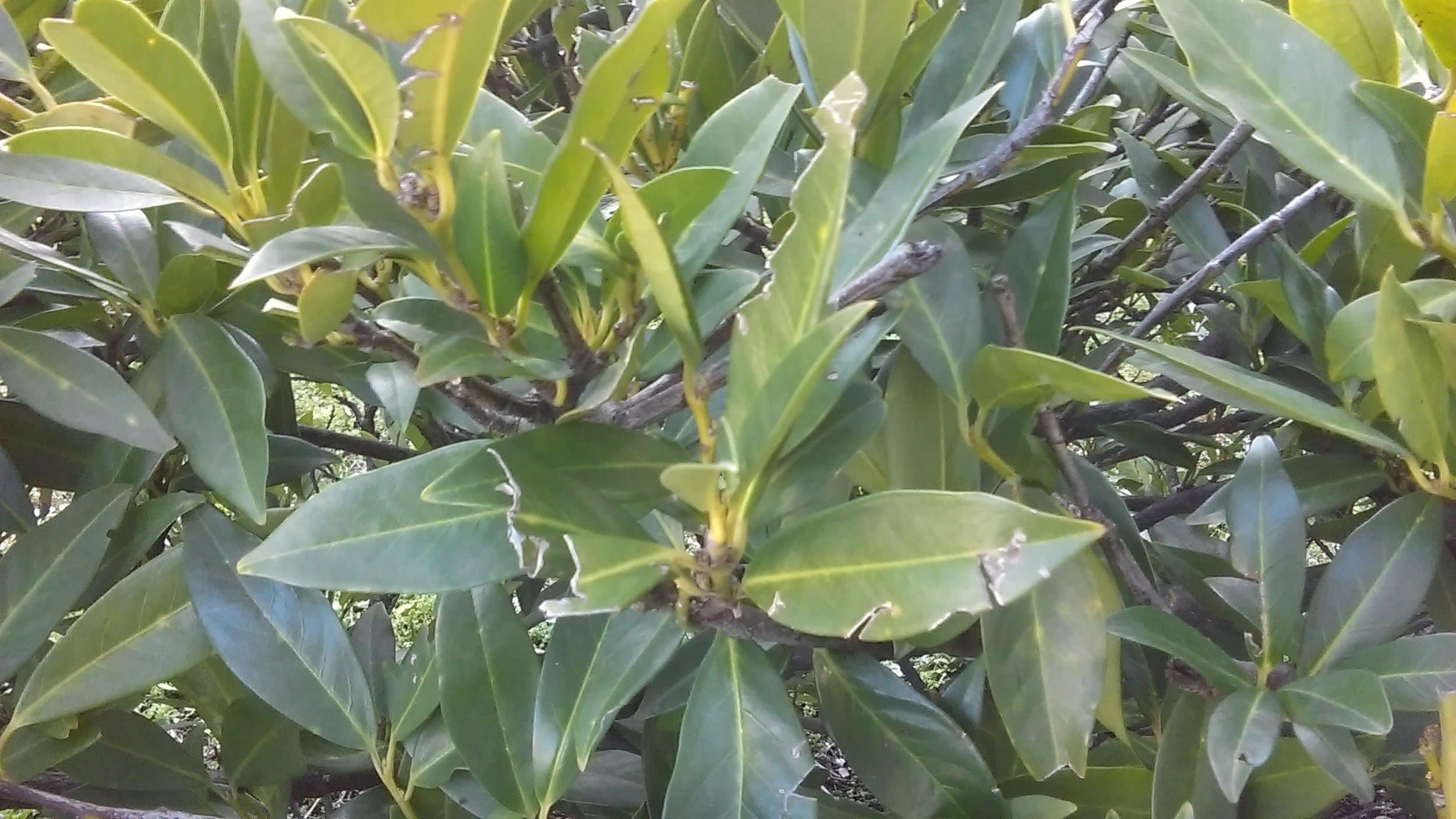 IMAG0010