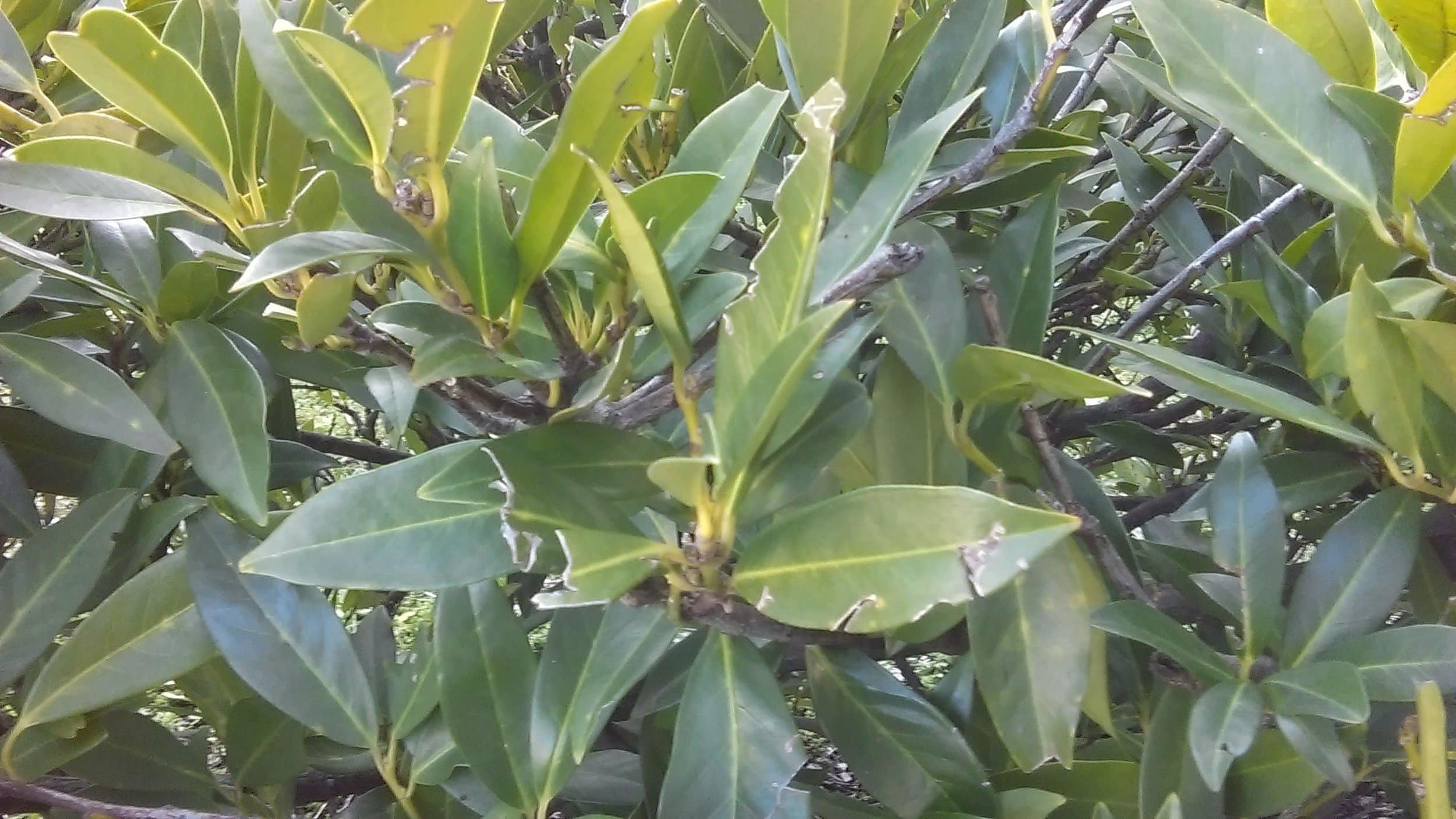 IMAG0011