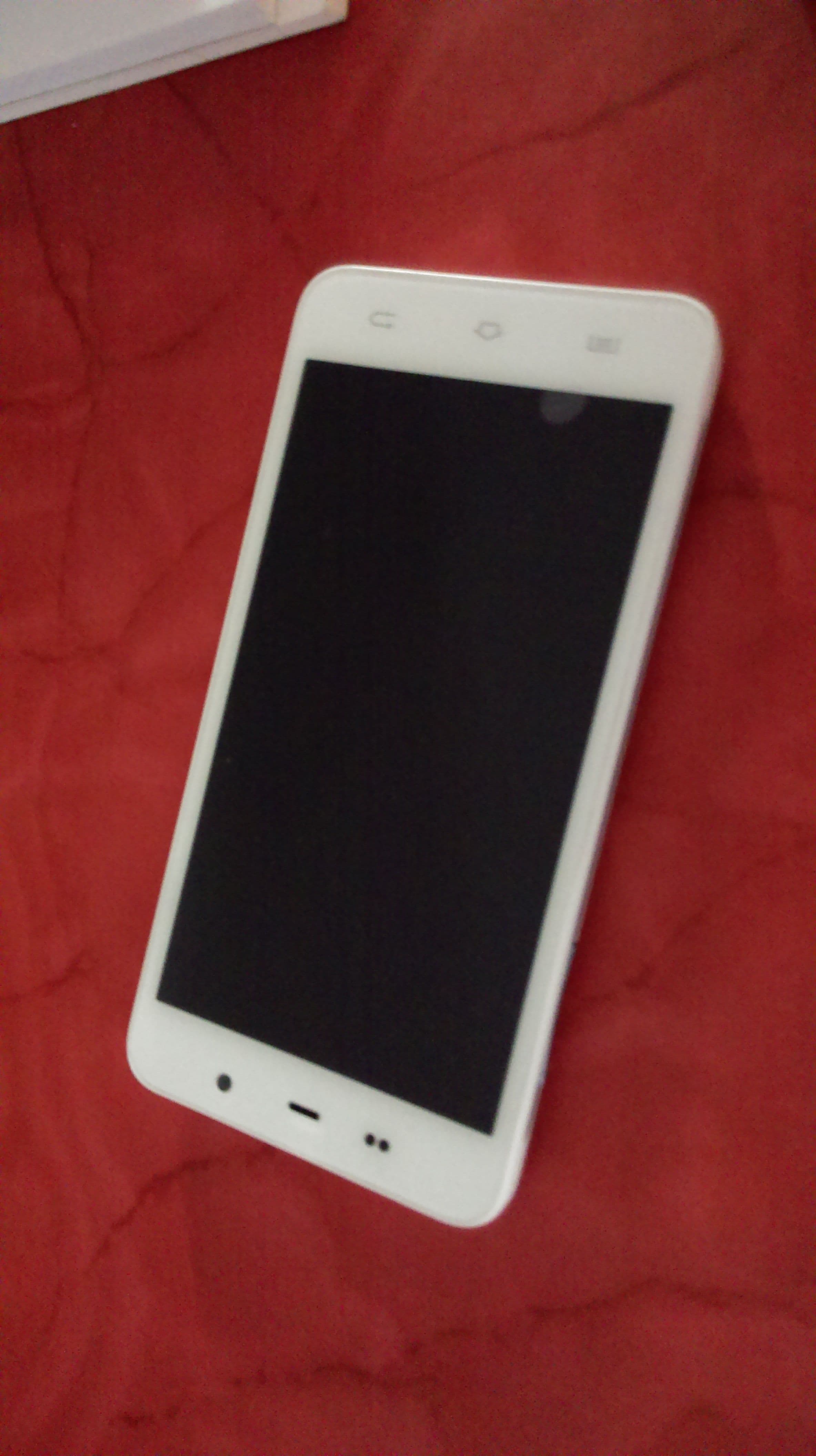 IMAG0015