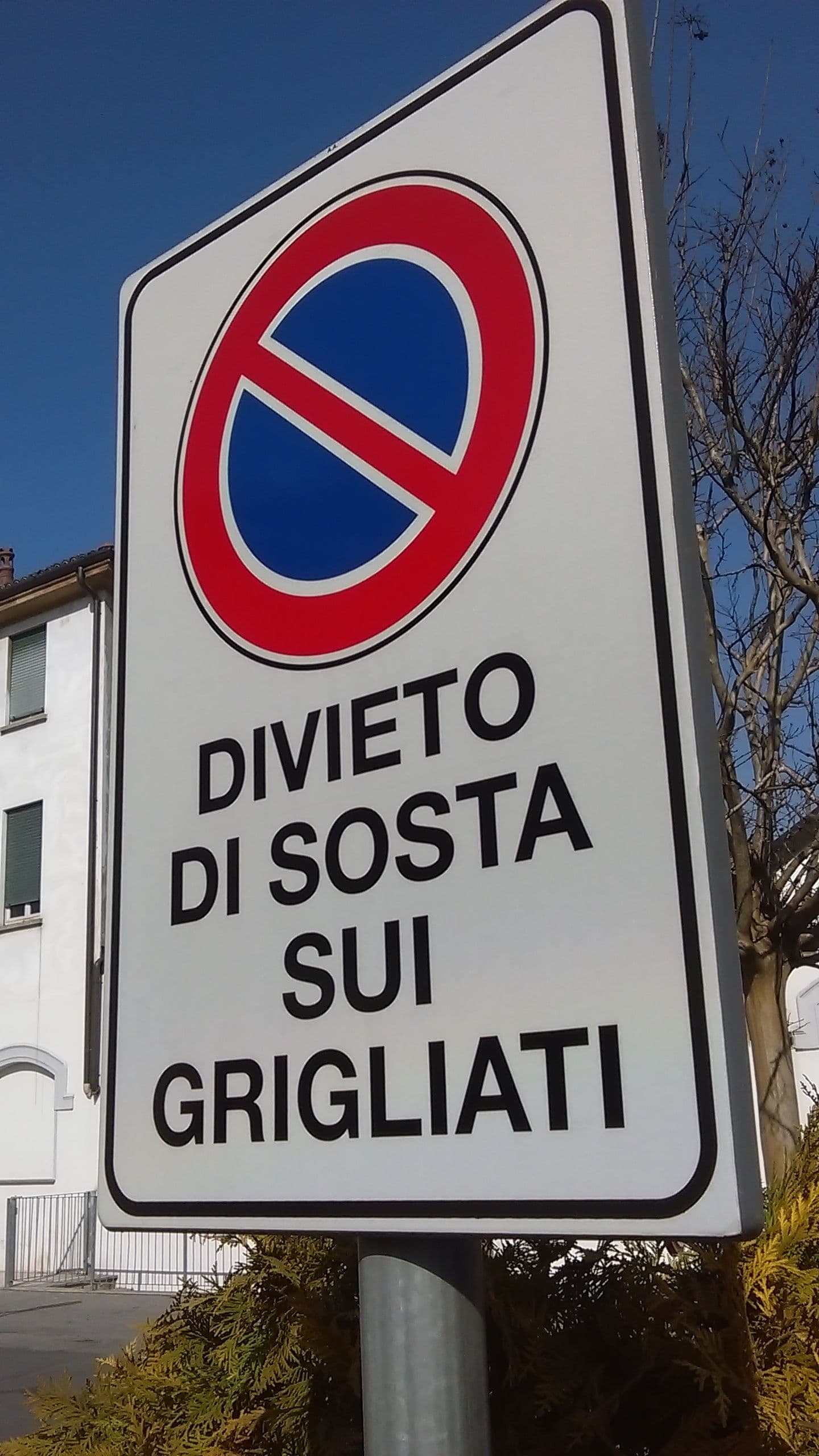IMAG0015