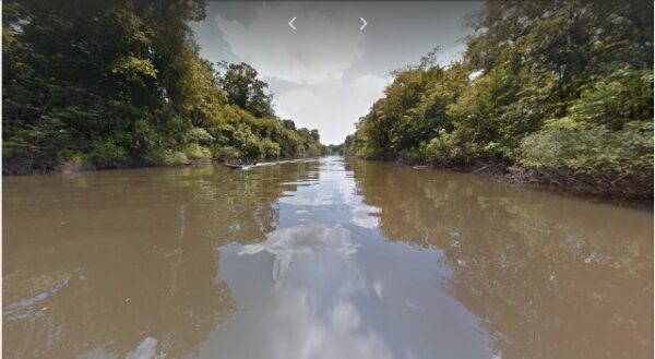 street view foresta amazzonica