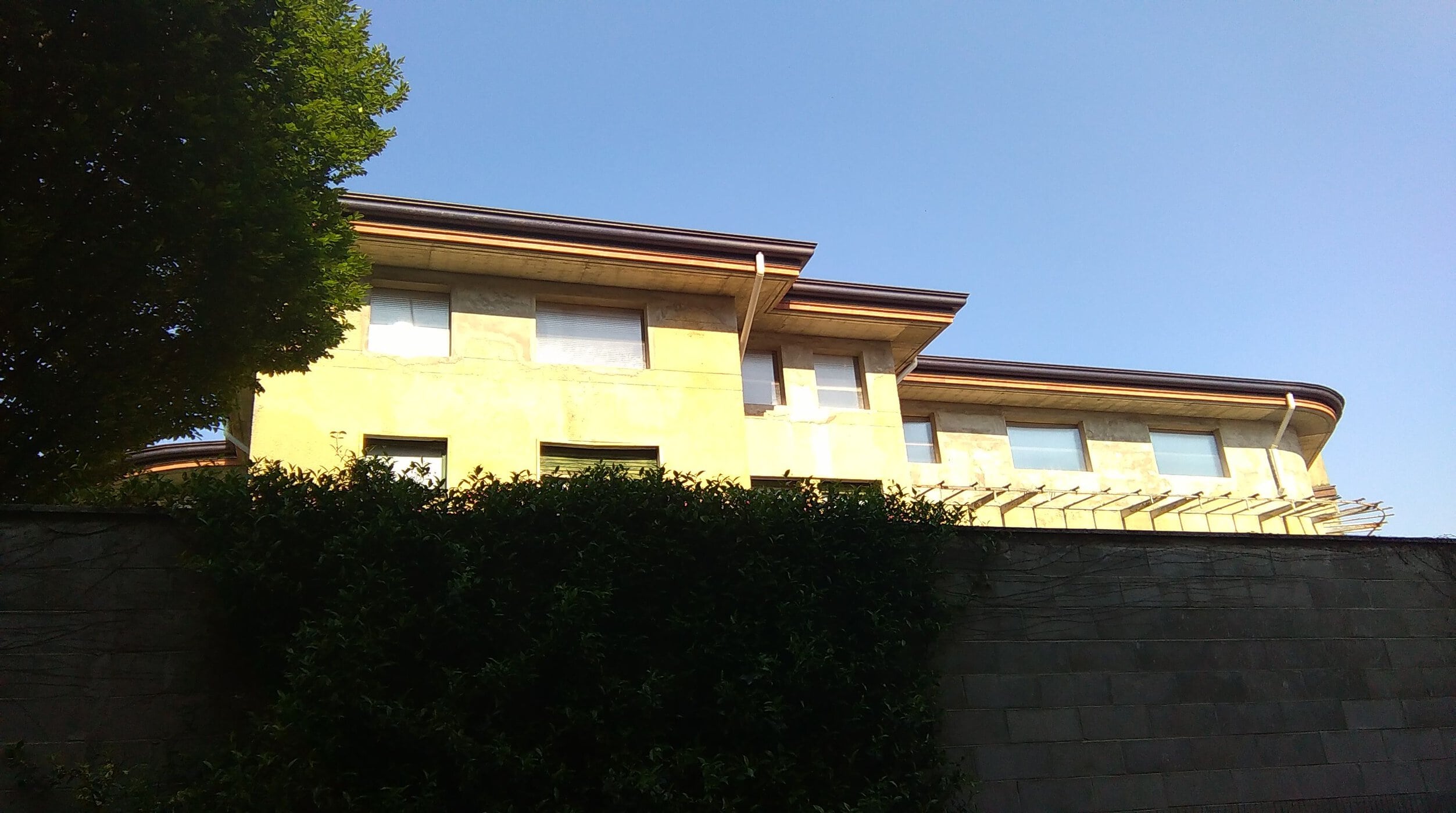 IMAG0005