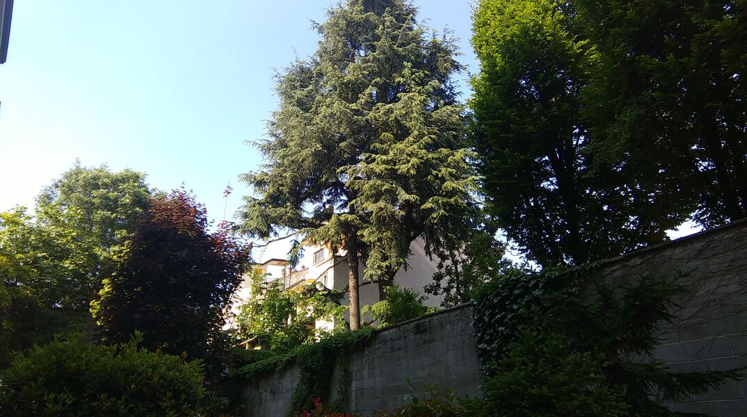 IMAG0007
