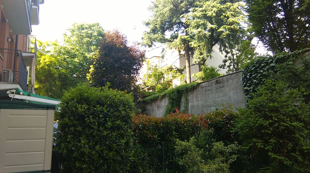 IMAG0009