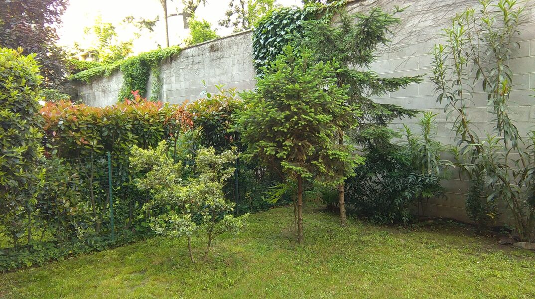 IMAG0010